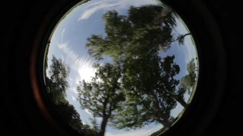 Driving Car Reflection Map Stock Footage 47828731