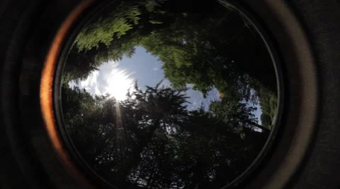 Driving Car Reflection Map Stock Footage 47828831