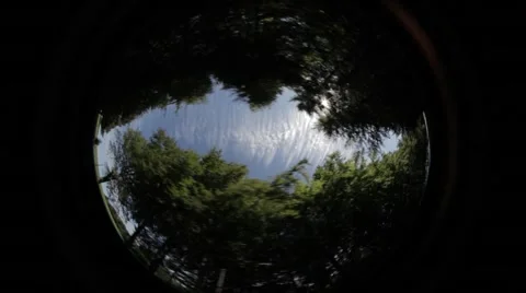 Driving Car Reflection Map Stock Footage 47829011