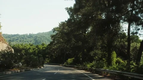 Driving car on road in the middle of the forest, mountains, Summer day, road Stock Footage 219479780