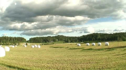 Driving car in summer 4 Stock Footage 10824262