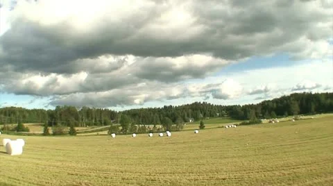 Driving car in summer 6 Stock Footage 10824331