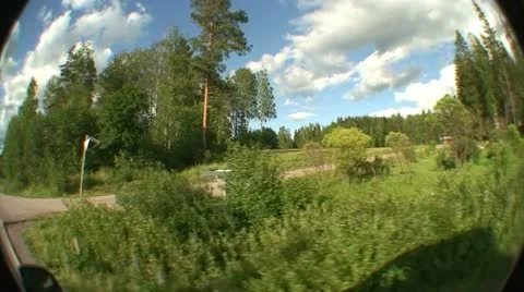 Driving car in summer 8 Stock Footage 10824389