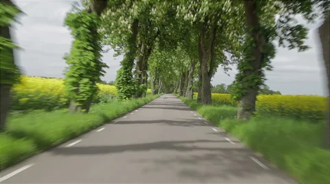 Driving a car through an avenue of trees and rapeseed Stock Footage 50367045