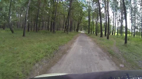 Driving a car through the countryside Stock Footage 26427489