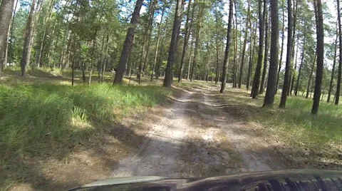 Driving a car through the countryside Stock Footage 26433937