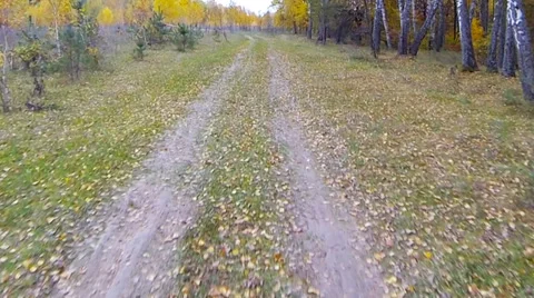 Driving a car through the countryside Stock Footage 32860523