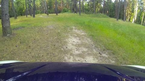 Driving a car through the countryside Stock Footage 40054328