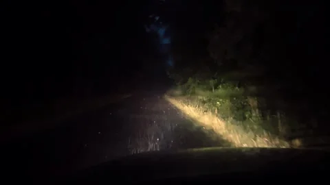 Driving a car through a forest road during a strong rain at night Stock Footage 252045448