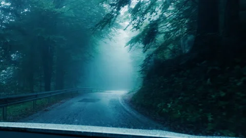 Driving a car through forest winding road on a foggy day Stock-Footage 170656862