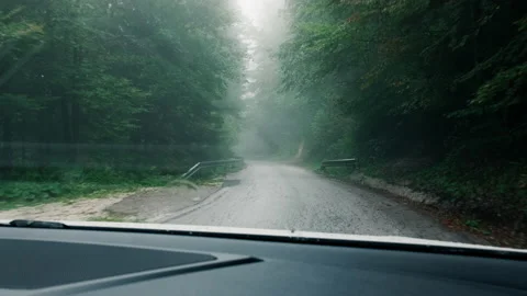Driving a car through forest winding road on a foggy day Stock-Footage 174471179