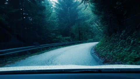 Driving a car through forest winding road on a foggy day Stock Footage 198809738