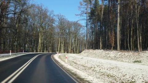 Driving a car through the winter forest Stock Footage 169468645