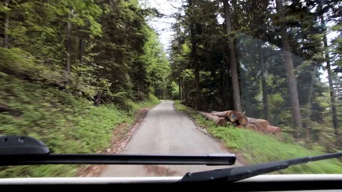Driving a car trough a forest Video stock 128050141
