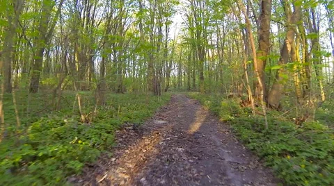 Driving a car true countryside. Stock Footage 49797841