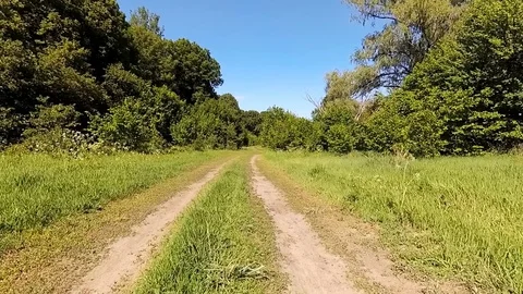 Driving a car in the wild. Stock Footage 77780066