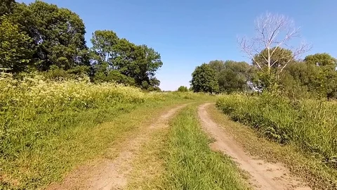 Driving a car in the wild. Stock Footage 77781474