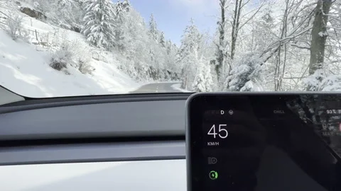 Driving car on a winter road with speed sign on a monitor Stock Footage 225680734
