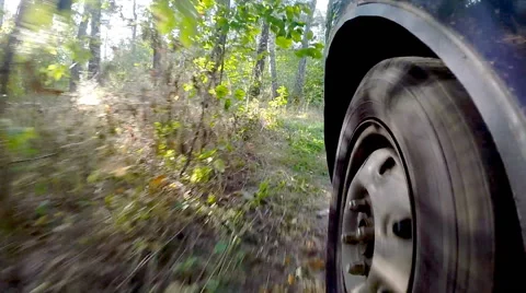 Driving a car in the woods. Stock Footage 42588884