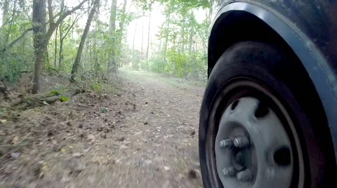 Driving a car in the woods. Stock Footage 42595894
