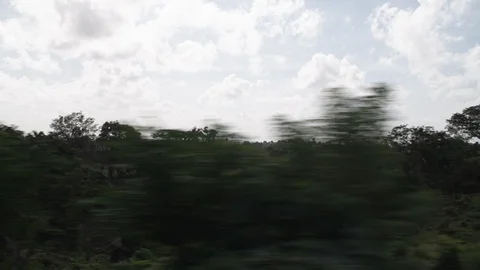 Driving by Caribbean bush Stock Footage 113361273