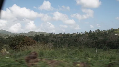 Driving by Caribbean scenery Stock Footage 113361508