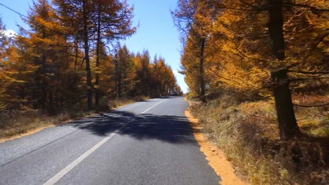 Driving on the chinese Route 66(grass skyline) at autumn, Zhangjiakou, China Video stock 96476953