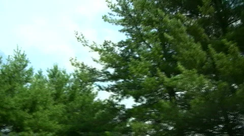 Driving in a circle Stock Footage 135473