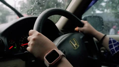 Driving on a cloudy day Stock Footage 281127631
