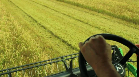 Driving a combine Vídeos de archivo 32142501