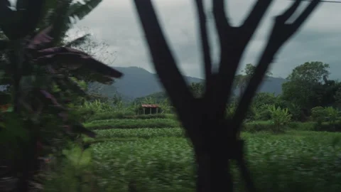 Driving by countryside in Bali with mountains, fields, farms, jungle and homes Stock Footage 140143472