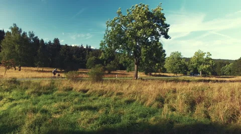 Driving in the countryside Stock Footage 67529902