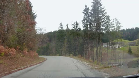 Driving on countryside road surrounded with forest Stock Footage 167686322