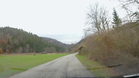 Driving on countryside road surrounded with forest Stock Footage 167686345