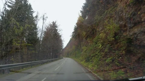 Driving on countryside road surrounded with forest Stock Footage 167686640