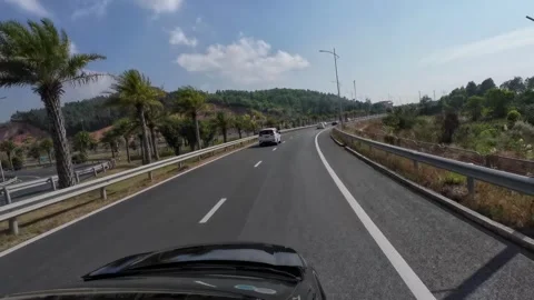 Driving Curved Hillside Highway with Roadside Palms and Trees Stock Footage 342573066