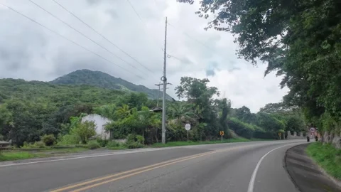 Driving Curved Road Bordered by Dense Jungle Trees Stock Footage 341372959