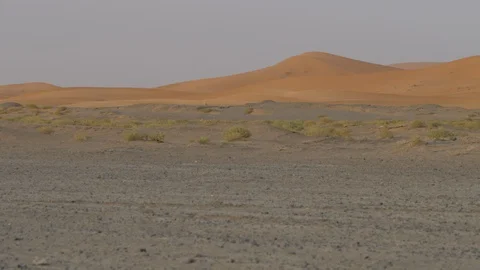 Driving Dacia Duster in Morocco desert, high dunes in background, Africa in 4K Stock Footage 92056691