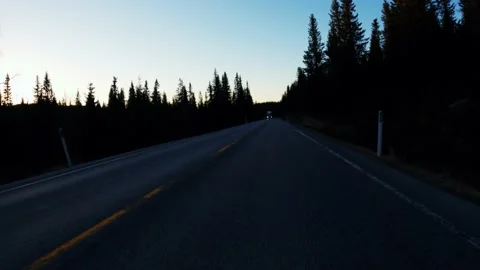 Driving on a dark highway through a forest at night. Stock Footage 195080448