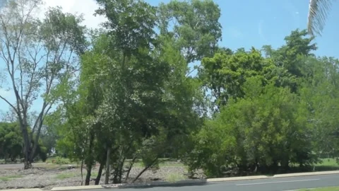 Driving in Darwin Australia on a sunny day in January. Stock Footage 302187069
