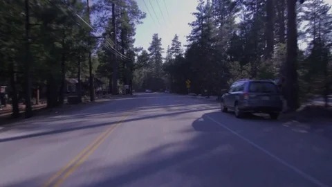 Driving Daytime Forest Hood Mount 動画素材 75260182