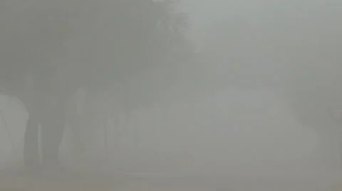 Driving in Dense Fog Stock Footage 54714020