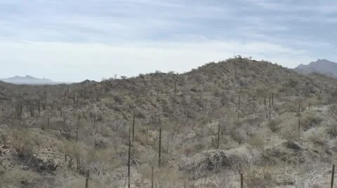 Driving in the desert Stock Footage 22105181