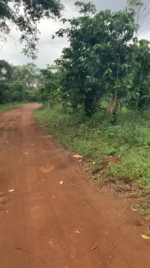 Driving in a dirt road in Pakse Stock-Footage 343319366
