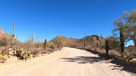 Driving Dirt Road Through Desert Cactus Landscape Video stock 148403403