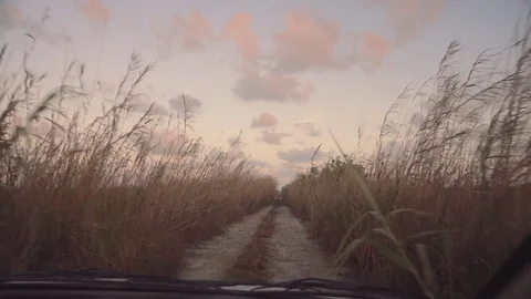 Driving on dirt road through grass field Stock Footage 85413636
