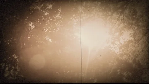 Driving down an avenue that is lined with trees - old film projector-look Vidéo 122595069