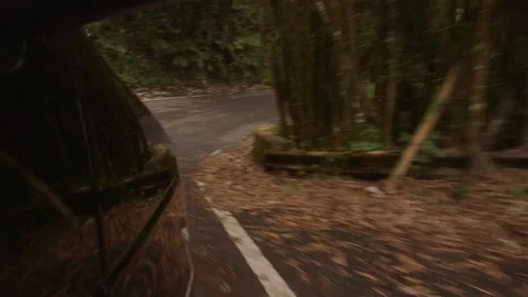 Driving down El Yunque Stock Footage 88225899