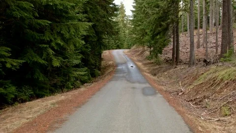 Driving down empty road car shot Wet Rainy Cascade Mountain Oregon Forest in Video stock 81652258