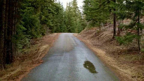 Driving down empty road car shot Wet Rainy Cascade Mountain Oregon Forest in Stock-Footage 81654054